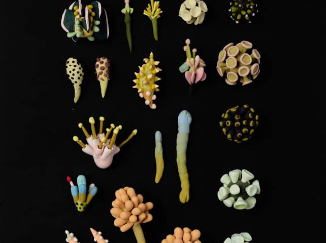 Botanica parallela