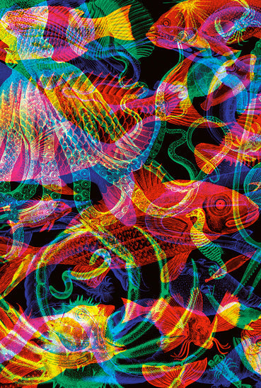 Come cambiare colore