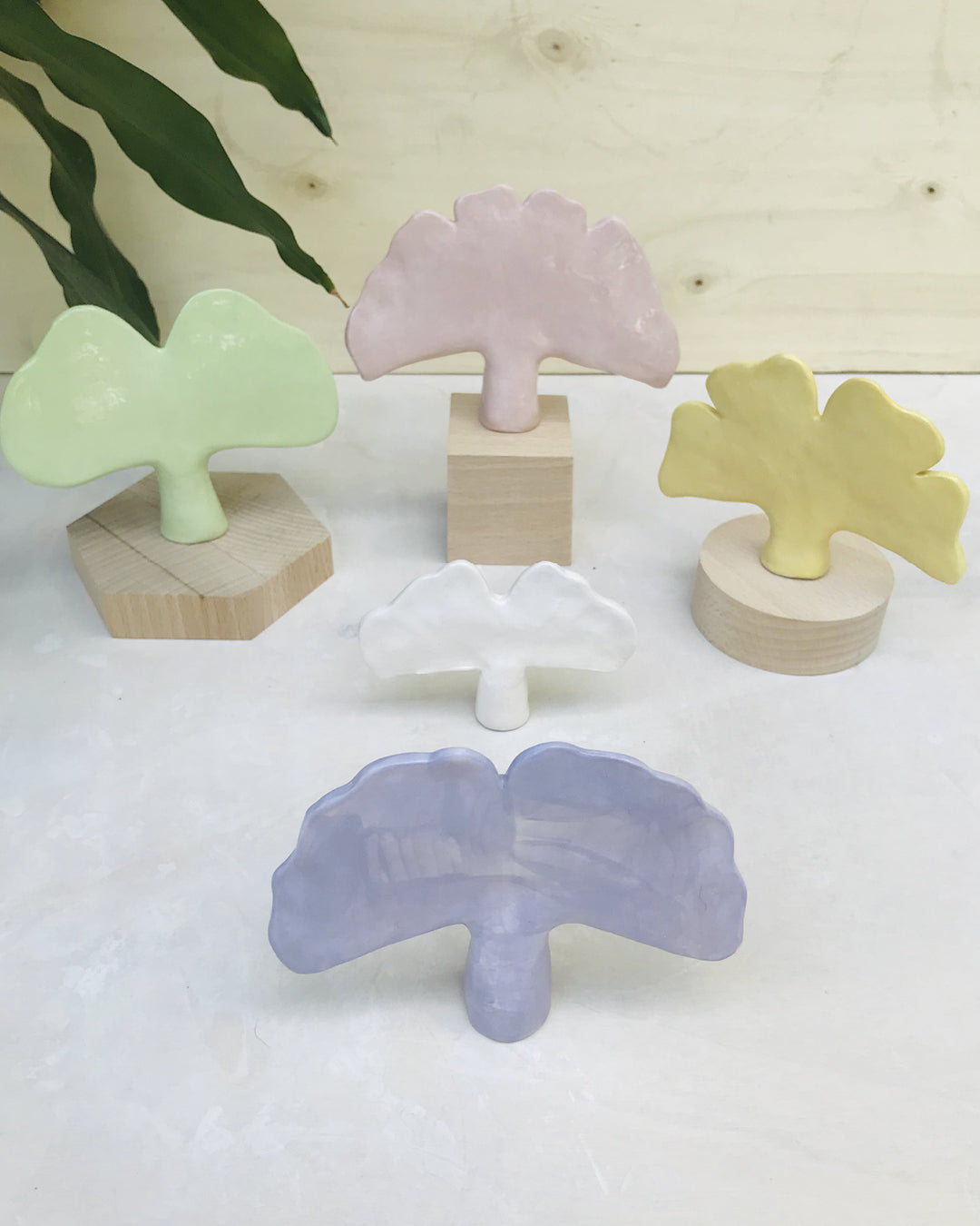 GINKO BILOBA