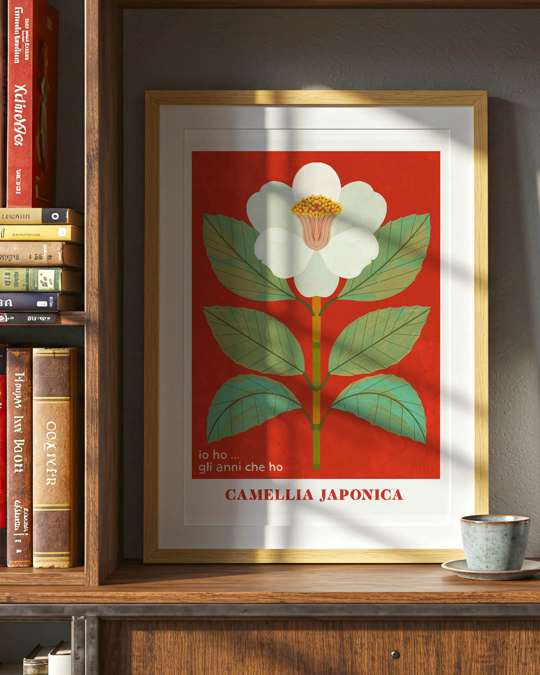 CAMELLIA JAPPONICA - PREORDINE