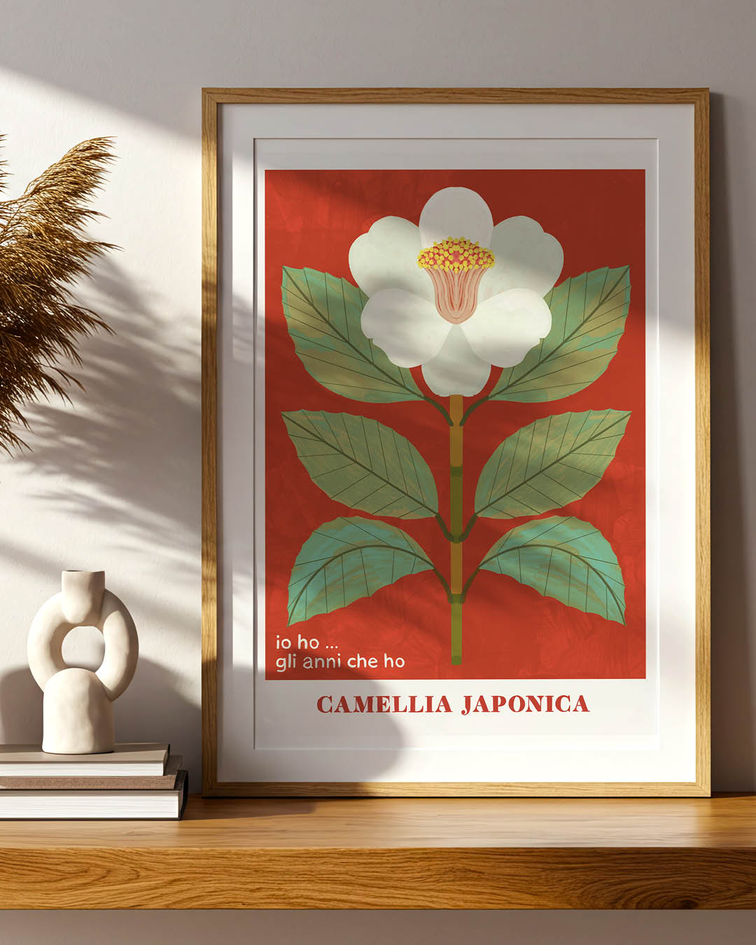 CAMELLIA JAPPONICA - PREORDINE