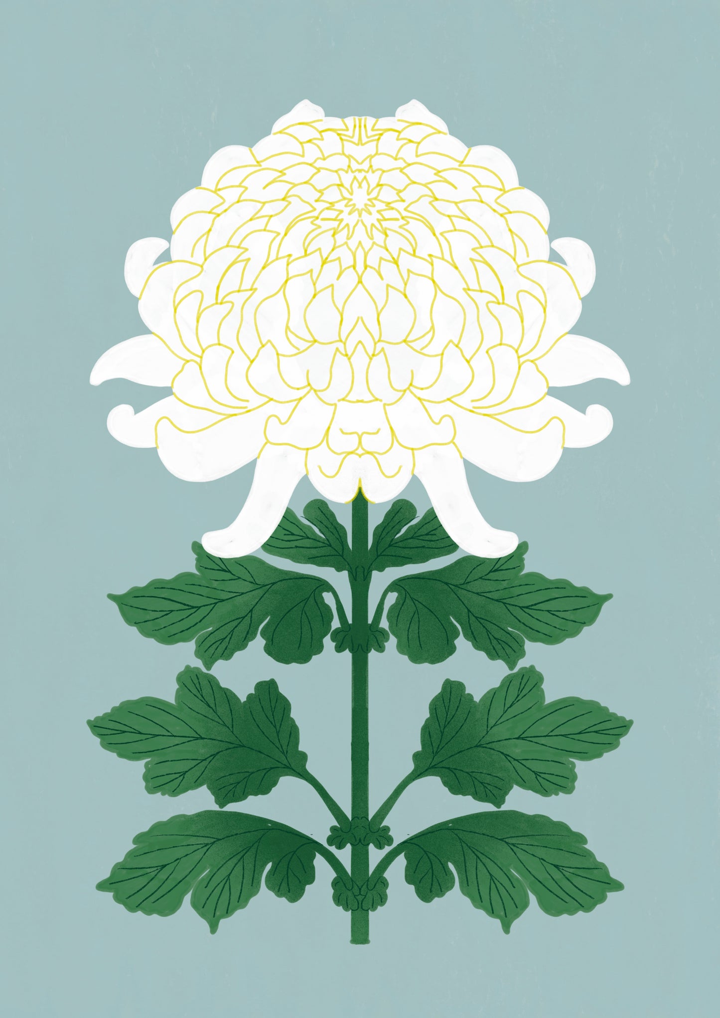 LE CARTOLINE