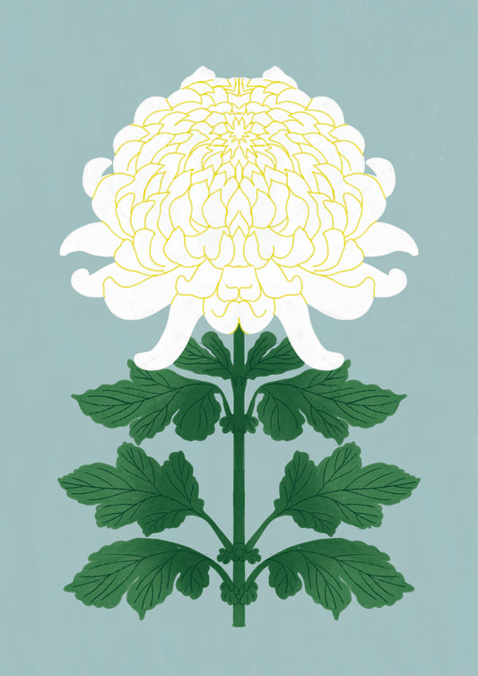 LE CARTOLINE