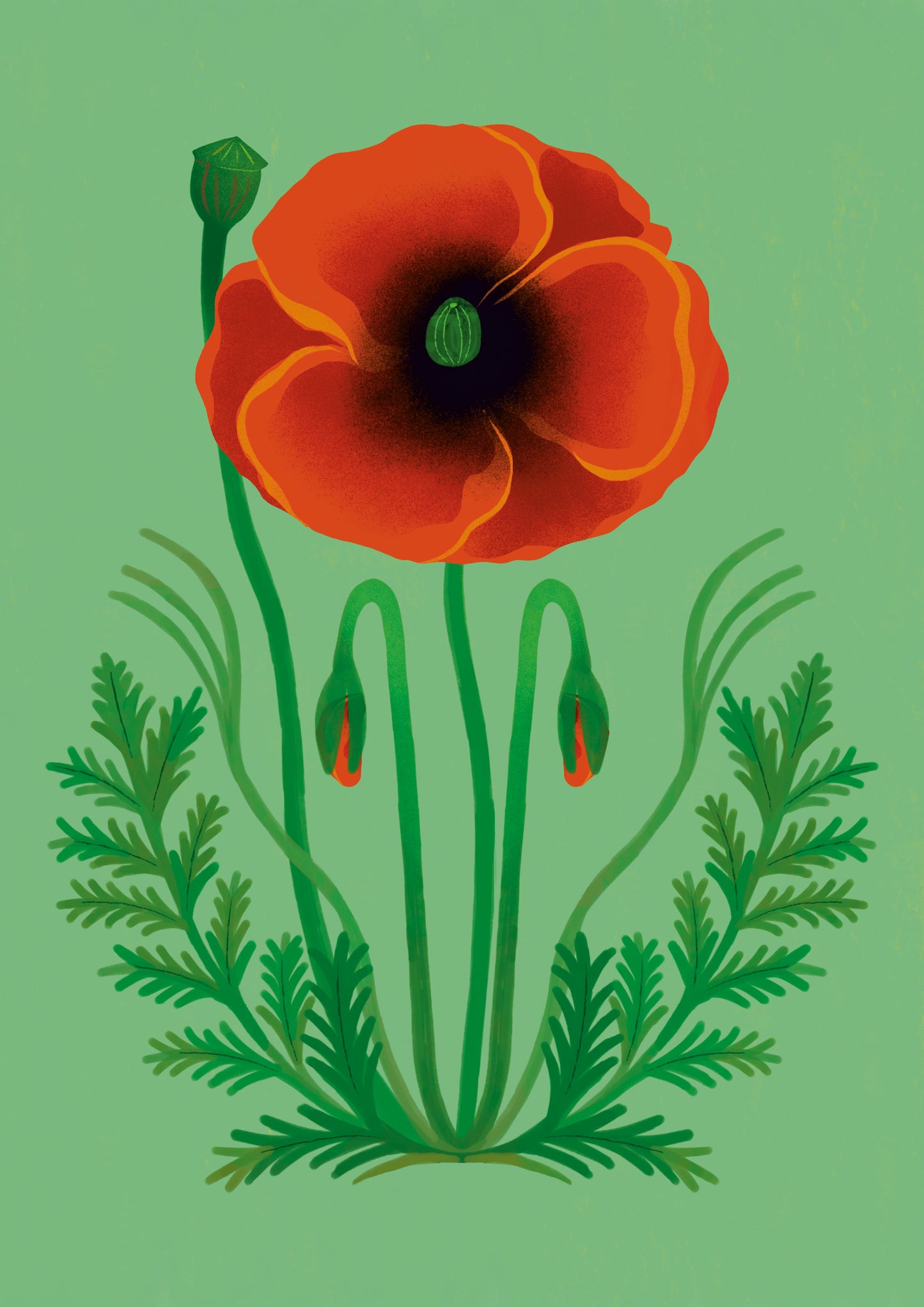 LE CARTOLINE