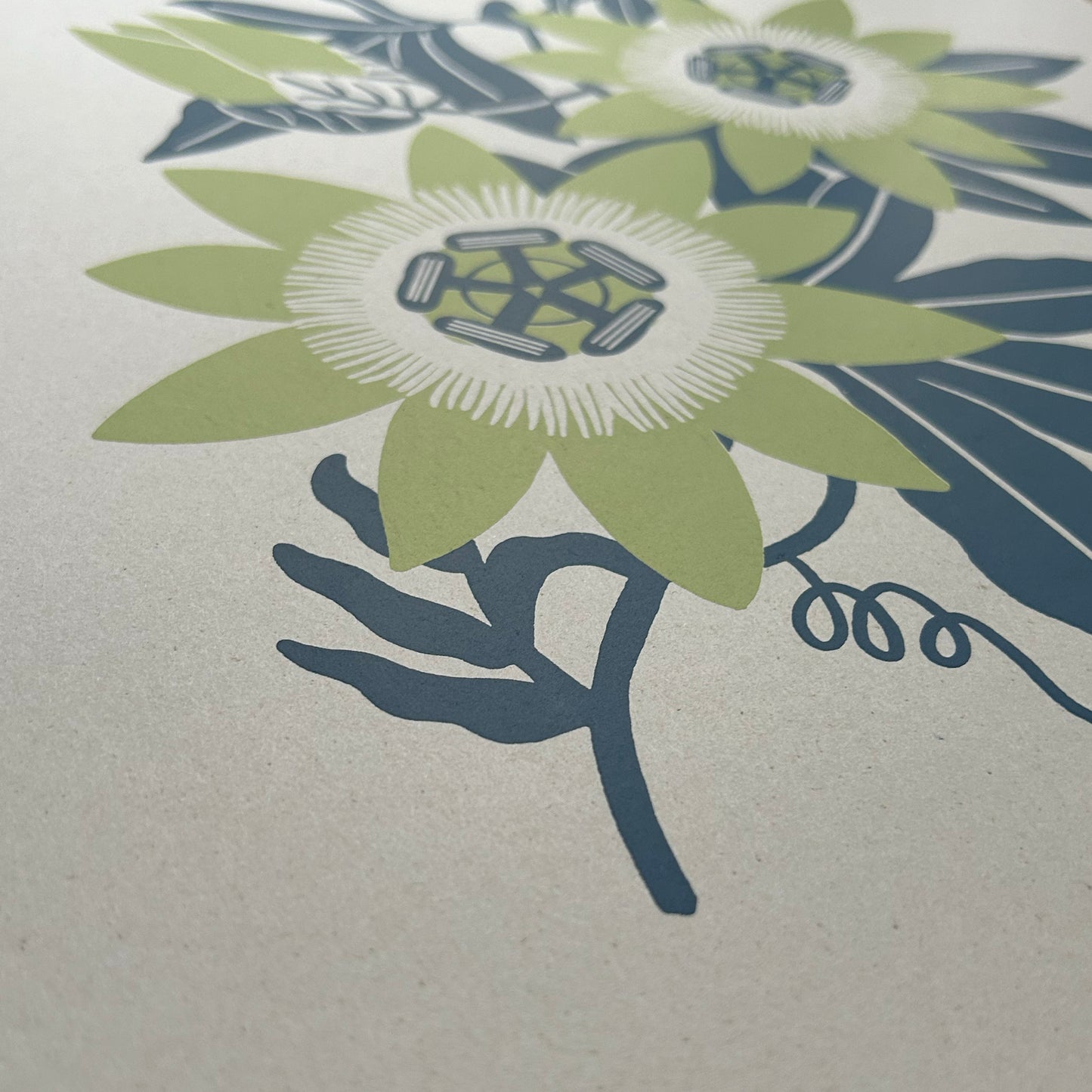 PASSIFLORA