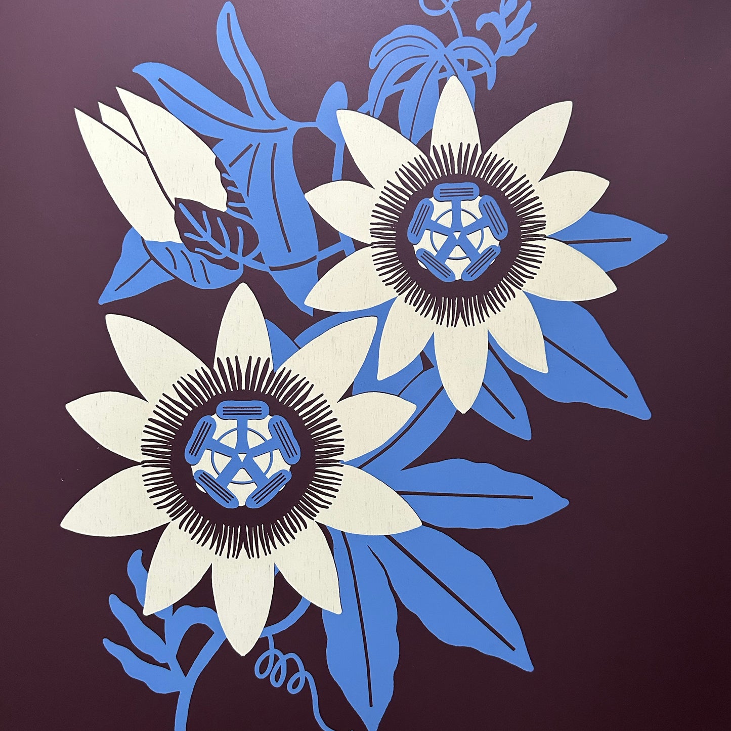 PASSIFLORA