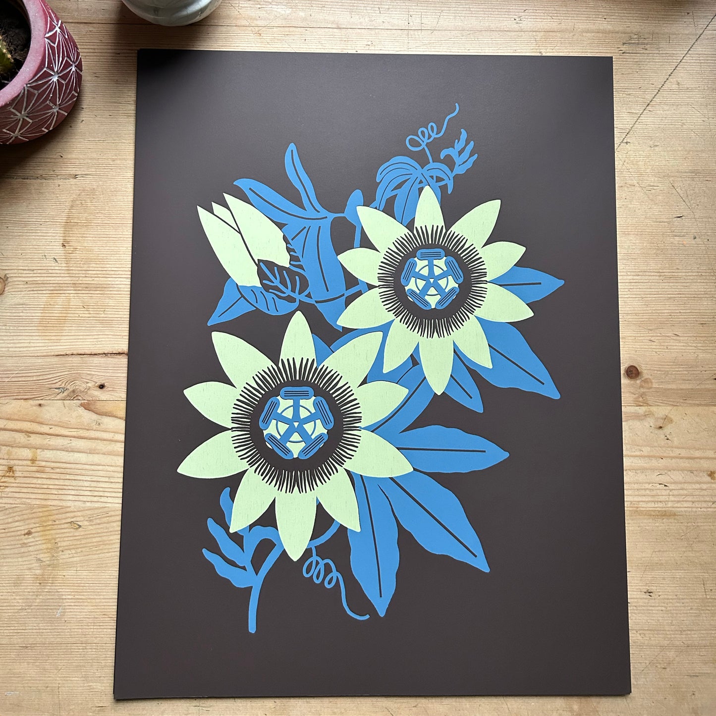 PASSIFLORA