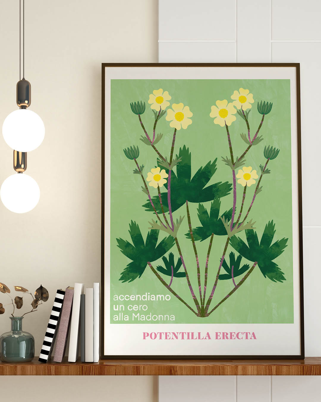 POTENTILLA