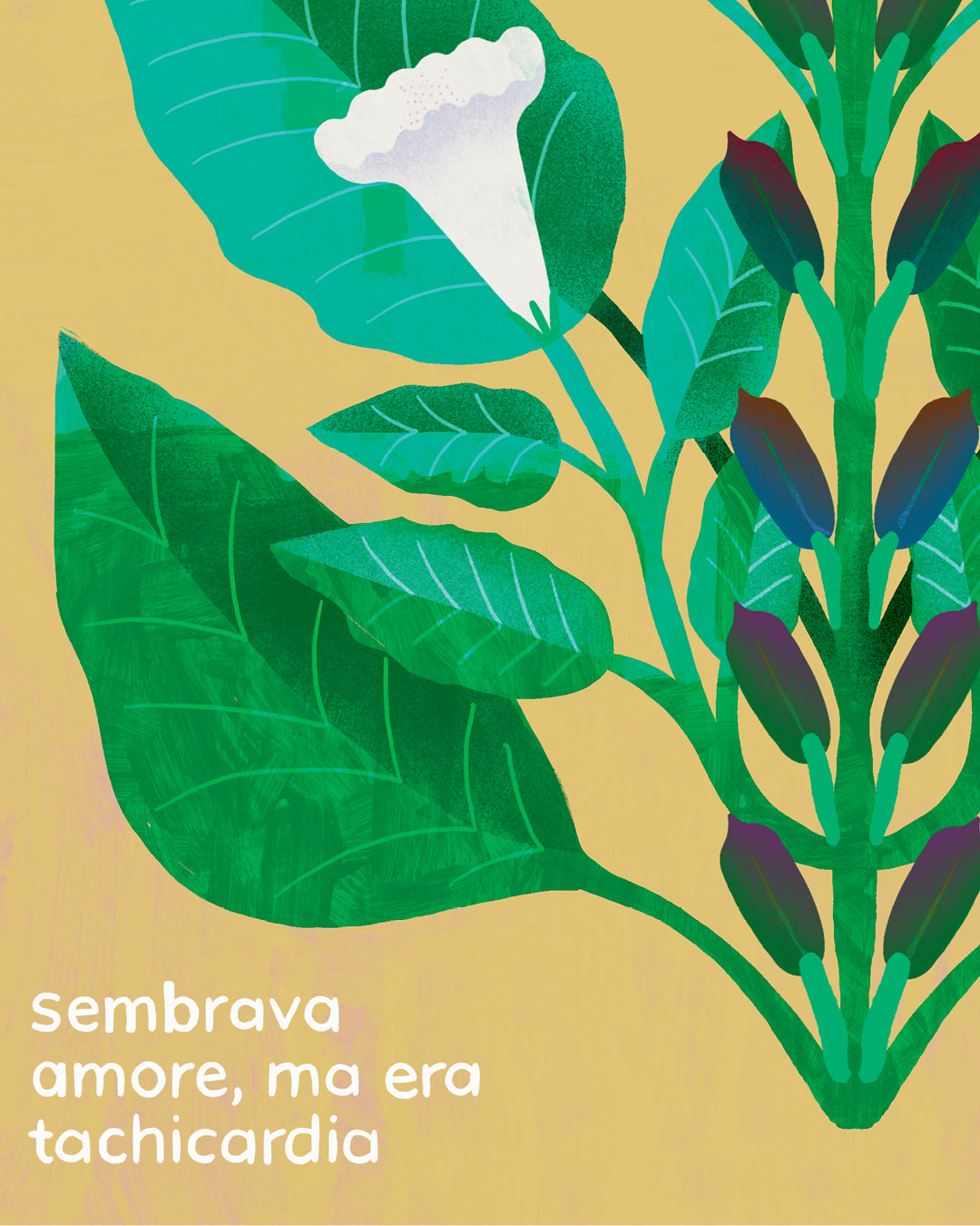 SESAMO