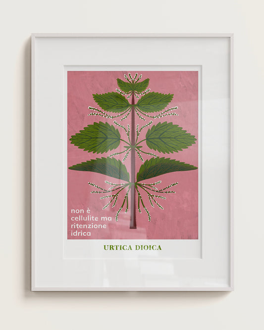ORTICA