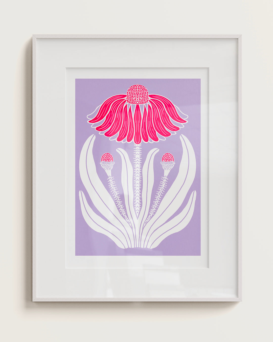 ECHINACEA