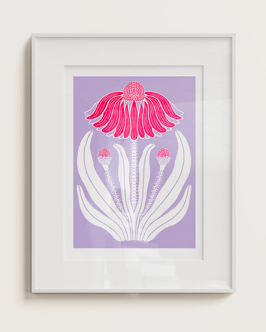 ECHINACEA
