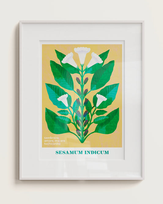 SESAMO