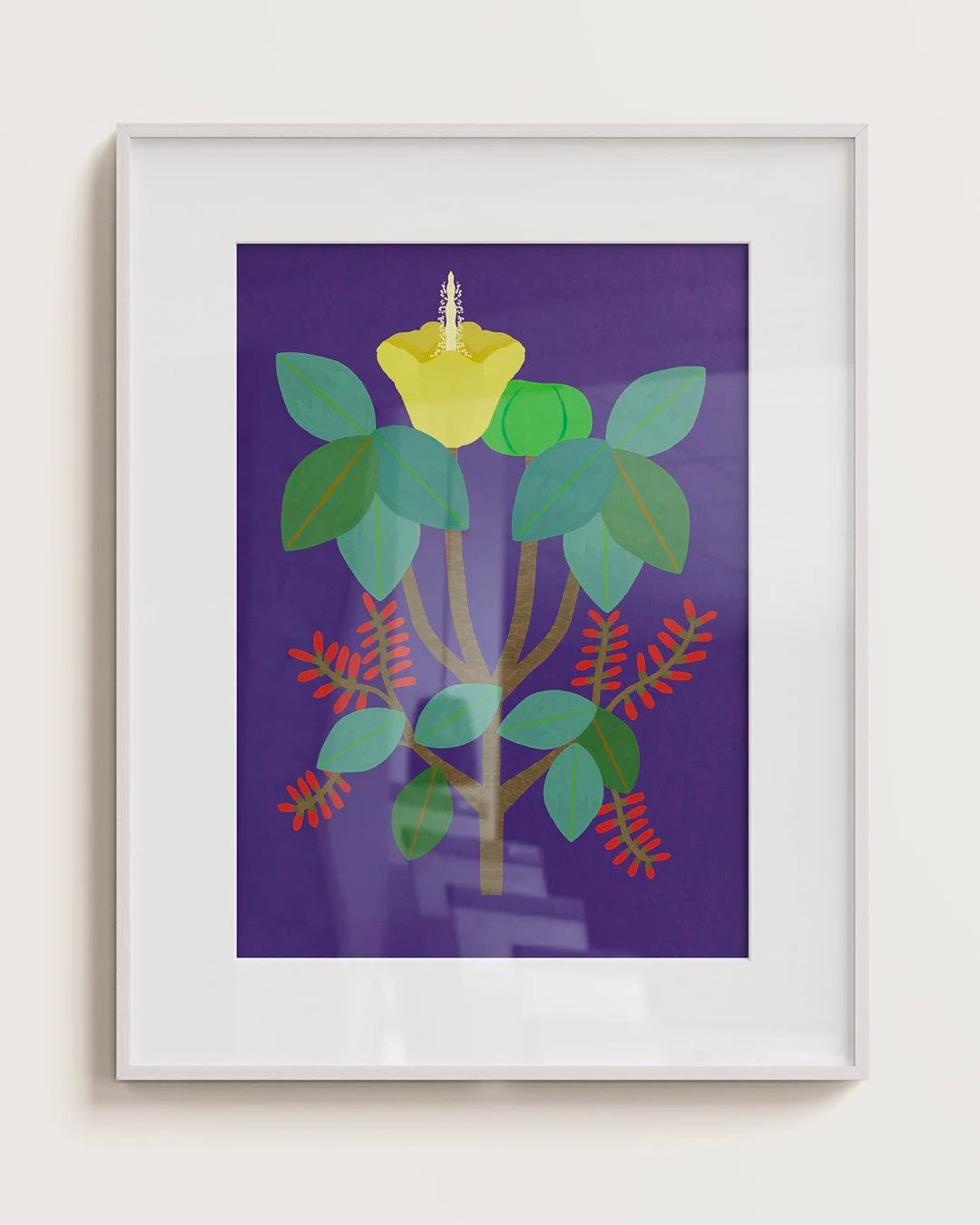 HIPPOMANE MANCINELLA - FINEART