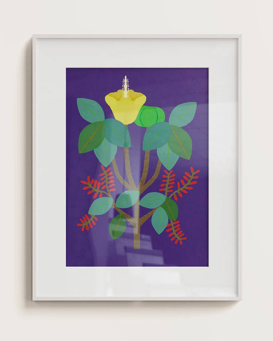 HIPPOMANE MANCINELLA - FINEART